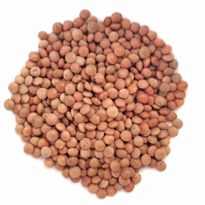 Organic Brown Lentils